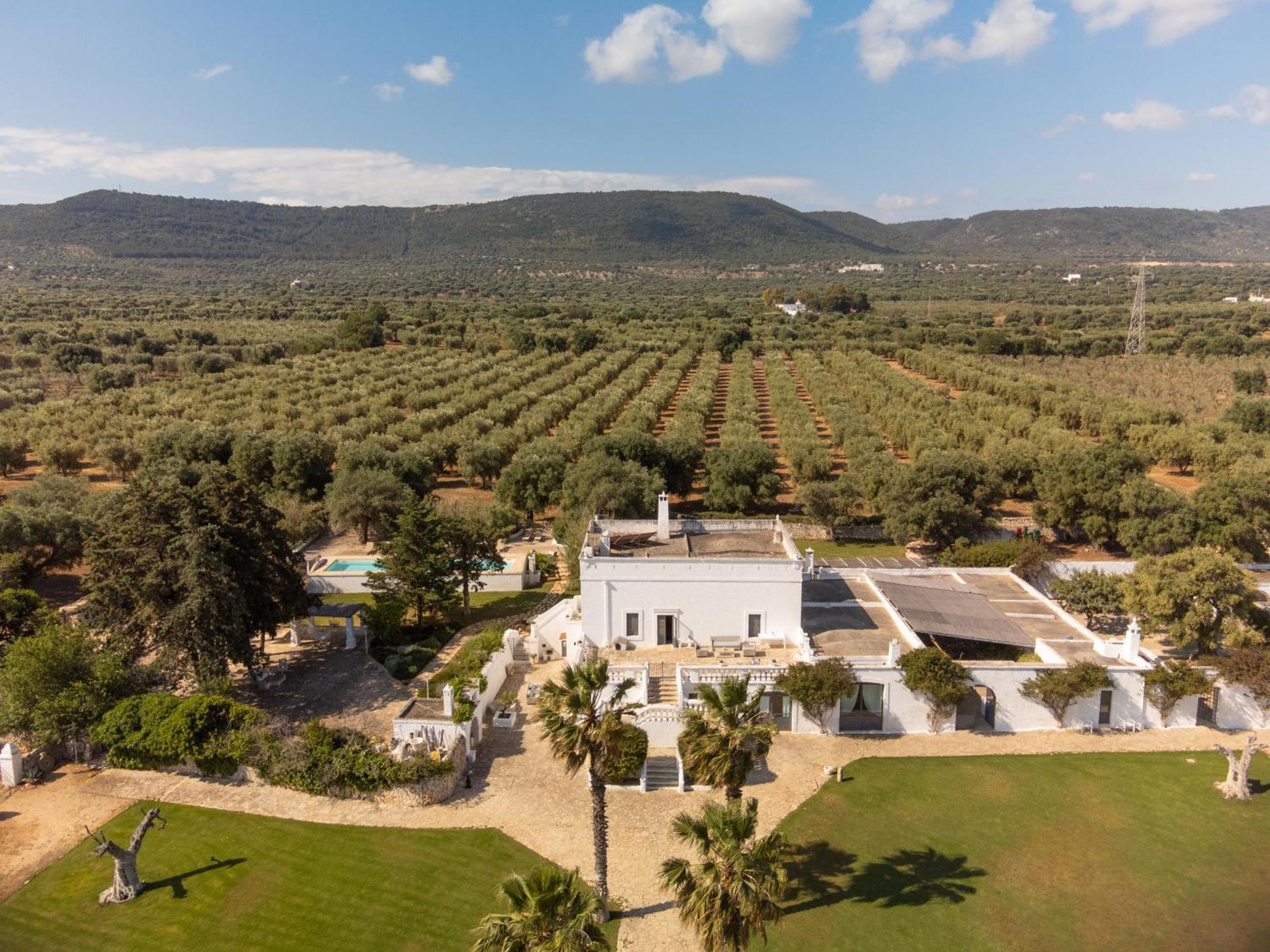 Masseria Eccellenza بيزي دي غريكو المظهر الخارجي الصورة
